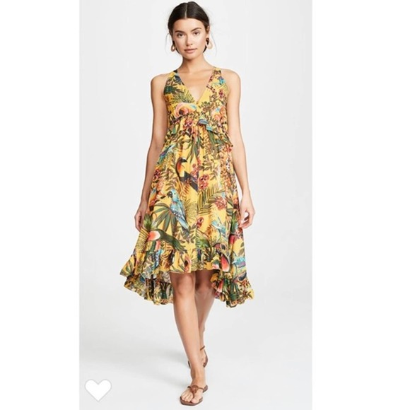 FARM Rio Dresses & Skirts - FARM RIO into the wild midi dress XS